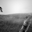 Fog
